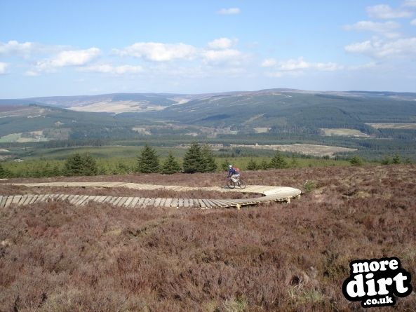 Lonesome Pine Trail - Kielder Forest