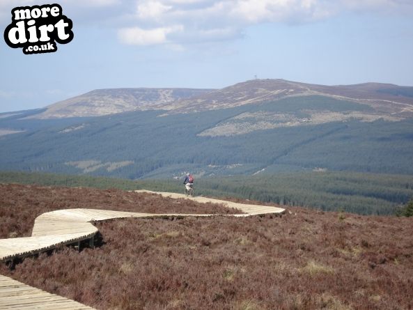 Kielder Mountain Bike Trails