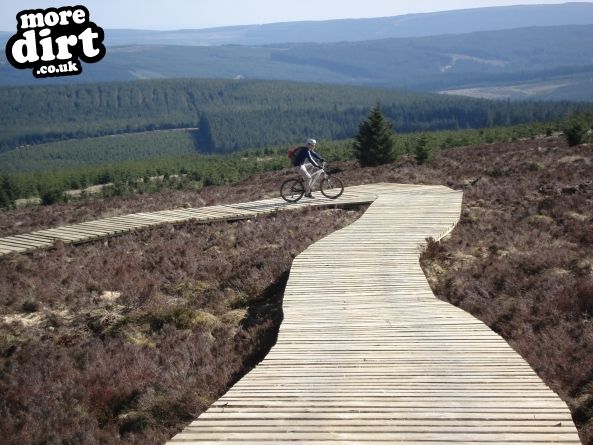 Lonesome Pine Trail - Kielder Forest