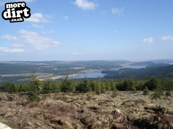 Lonesome Pine Trail - Kielder Forest