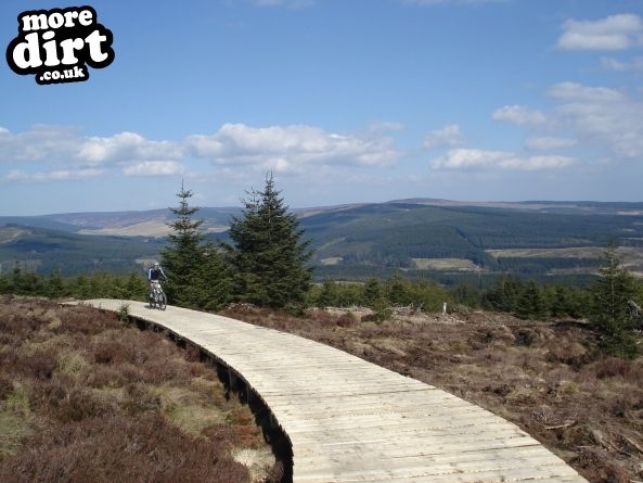 Lonesome Pine Trail - Kielder Forest