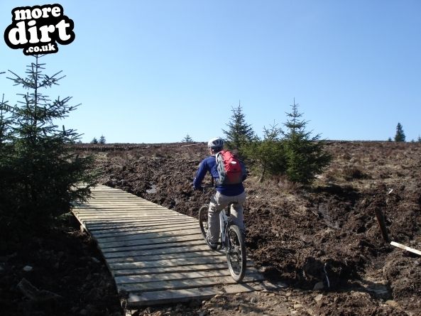 Lonesome Pine Trail - Kielder Forest