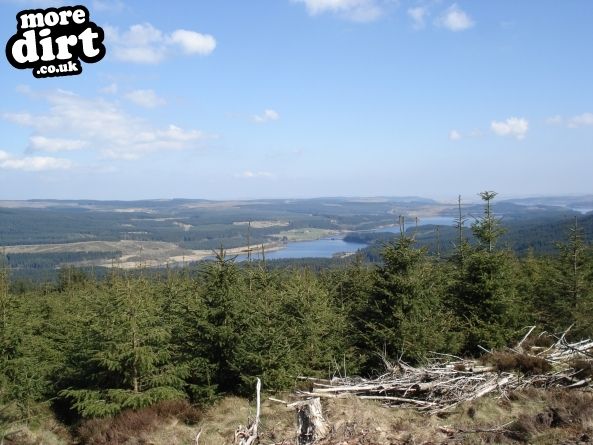 Lonesome Pine Trail - Kielder Forest