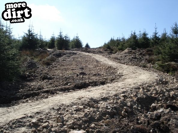 Lonesome Pine Trail - Kielder Forest