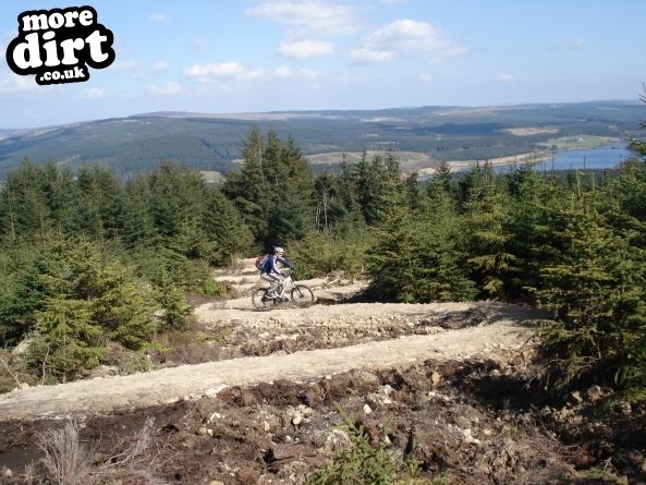 Lonesome Pine Trail - Kielder Forest