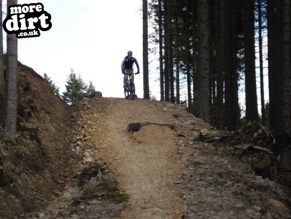 Lonesome Pine Trail - Kielder Forest