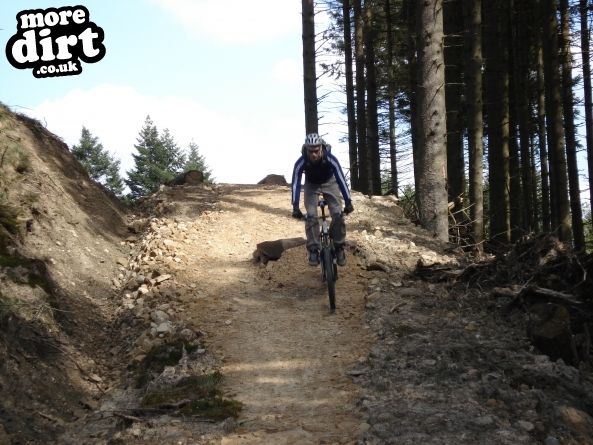 Lonesome Pine Trail - Kielder Forest