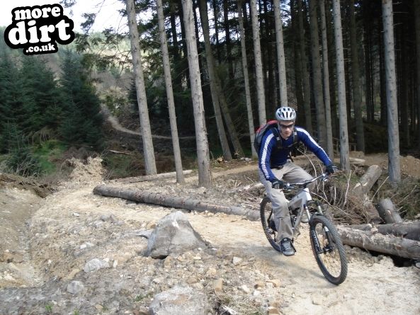 Lonesome Pine Trail - Kielder Forest