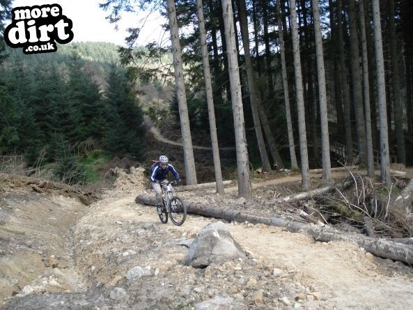 Lonesome Pine Trail - Kielder Forest