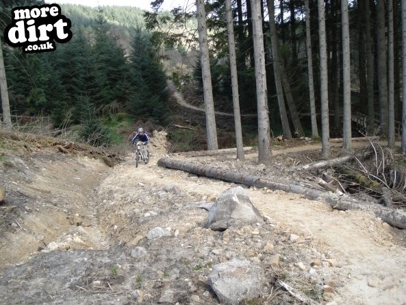 Lonesome Pine Trail - Kielder Forest