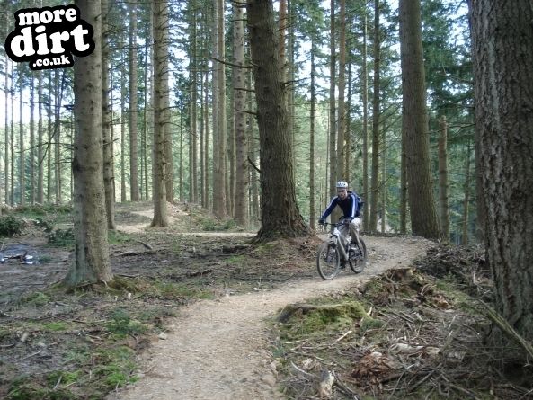 Lonesome Pine Trail - Kielder Forest