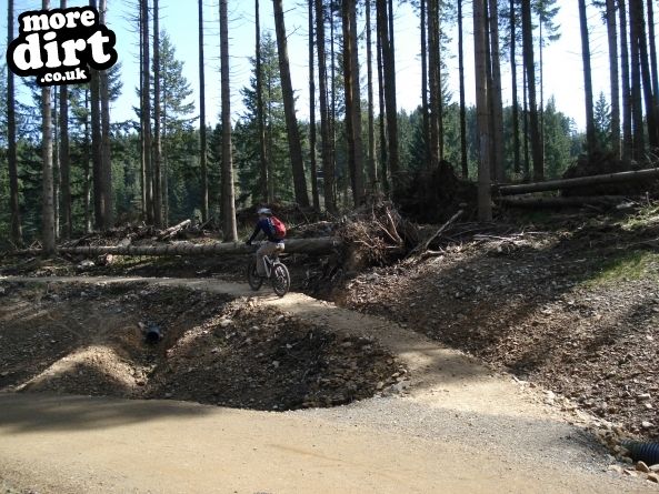 Lonesome Pine Trail - Kielder Forest