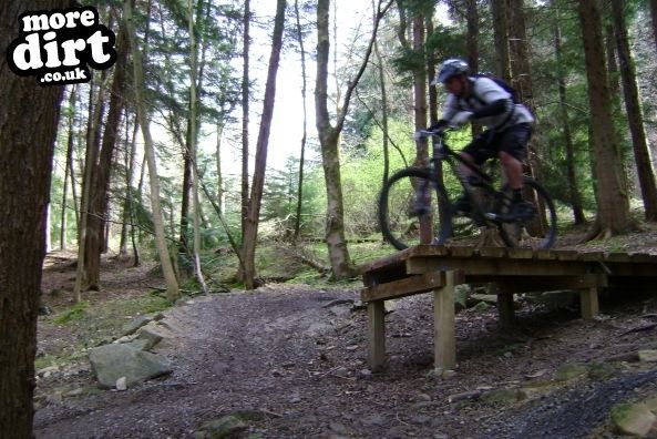 Just before take off!