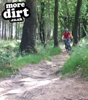 Triscombe Mountain Bike Trails