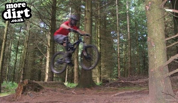 Triscombe Mountain Bike Trails