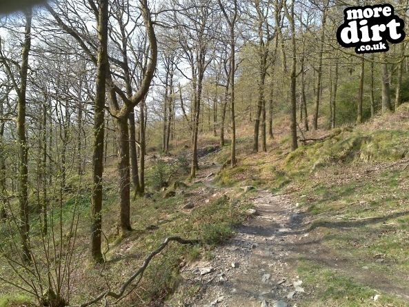 Gisburn Forest Mountain Bike Trails