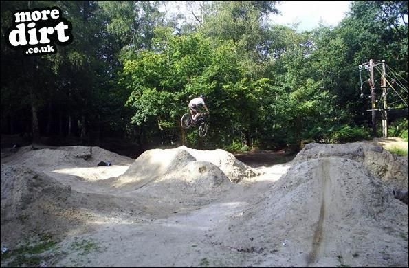 Buckland Rings Trail