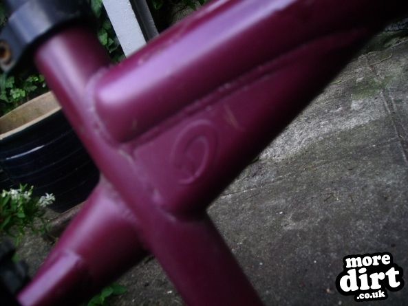 my diamond back logo