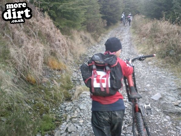 Altura Trail - Whinlatter Forest