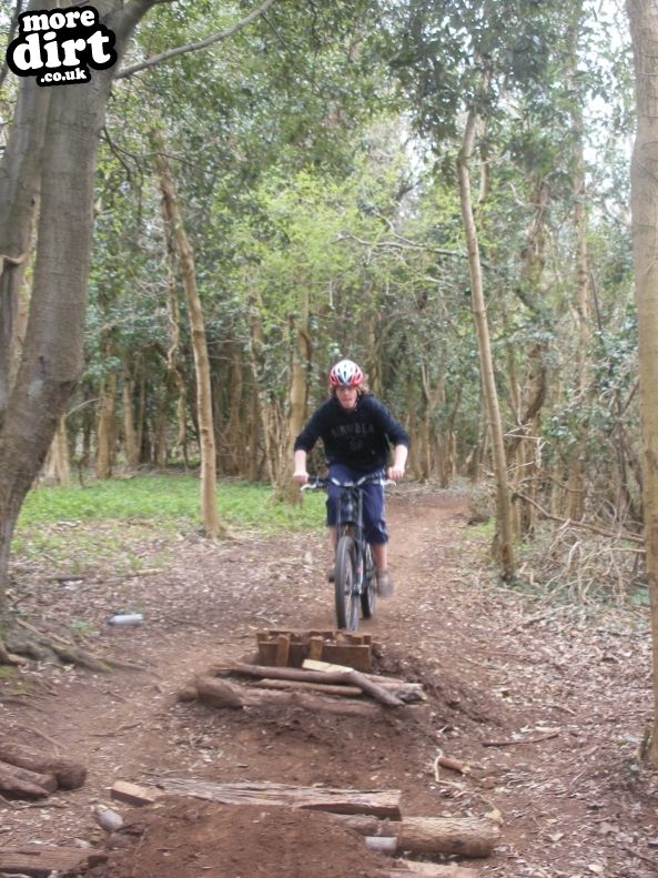 Walton-in-Gordano Trails
