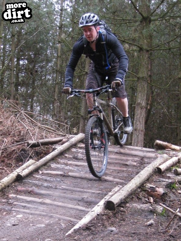 Follow the Dog Trail - Cannock Chase