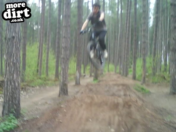 Sherwood Pines Bike Park