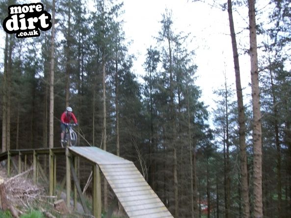 Black Trail - Coed Llandegla Forest