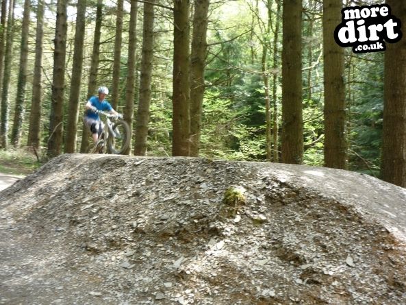 Raven Trail - Brechfa