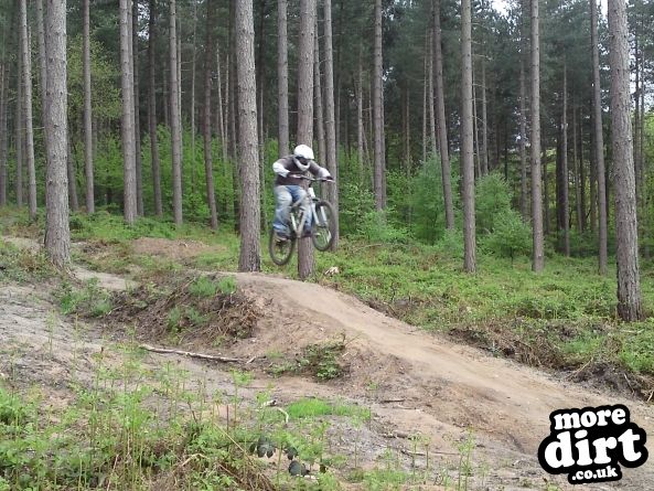 Adventure Cycle Trail - Sherwood Pines