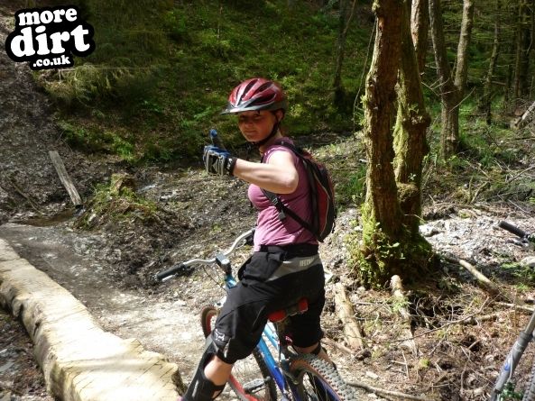 Raven Trail - Brechfa