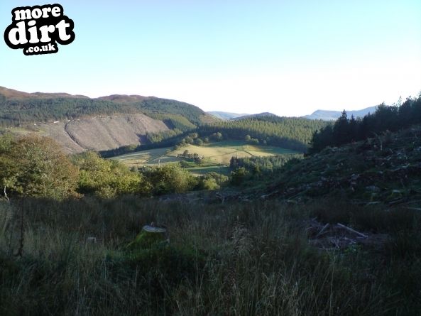 The Beast Trail - Coed-y-Brenin