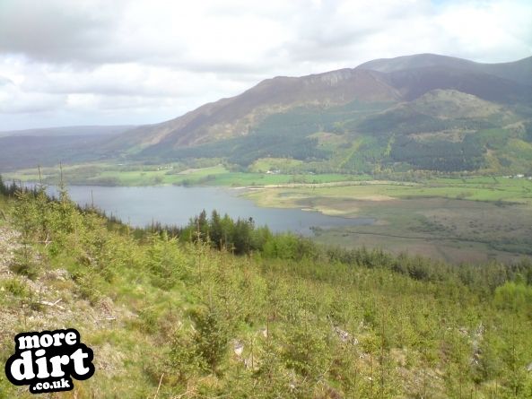 Altura Trail - Whinlatter Forest