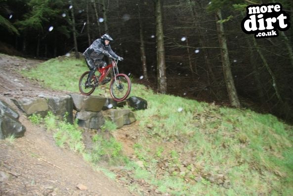 Innerleithen Mountain Bike Trails