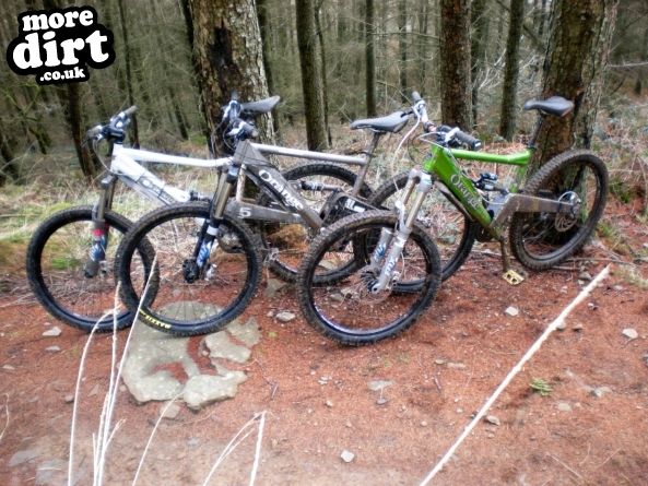 Skyline Trail - Afan Forest