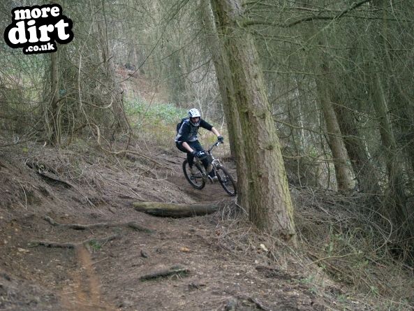 Leckhampton Hill Trails