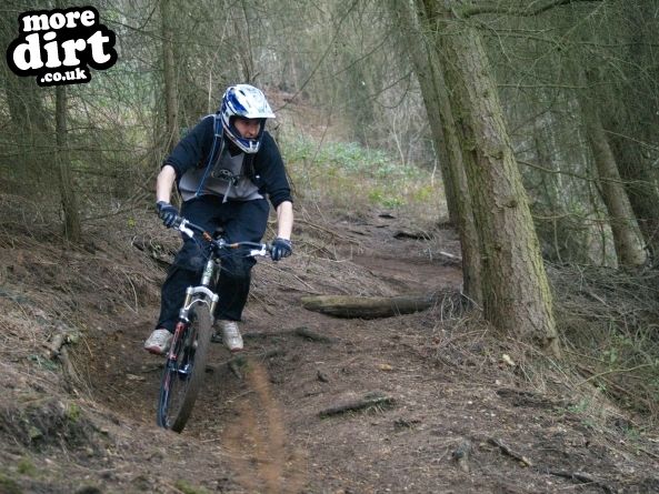 Leckhampton Hill Trails