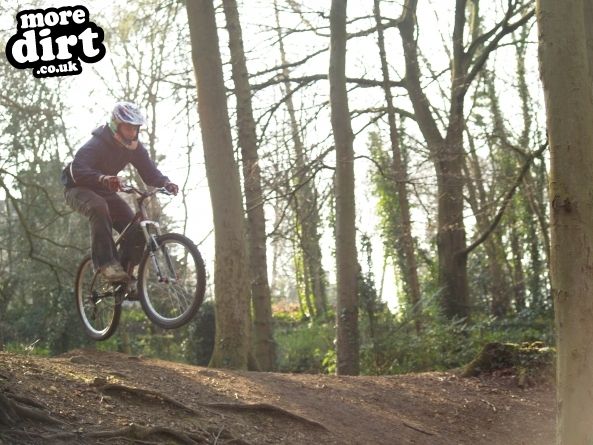 Leckhampton Hill Trails