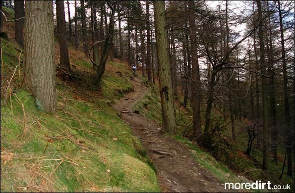 Twrch Trail - Cwmcarn