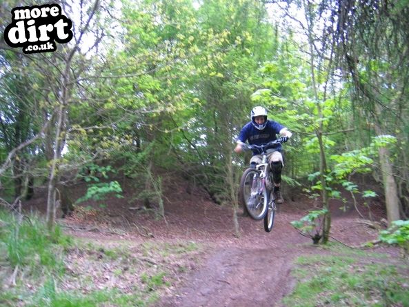 Leckhampton Hill Trails