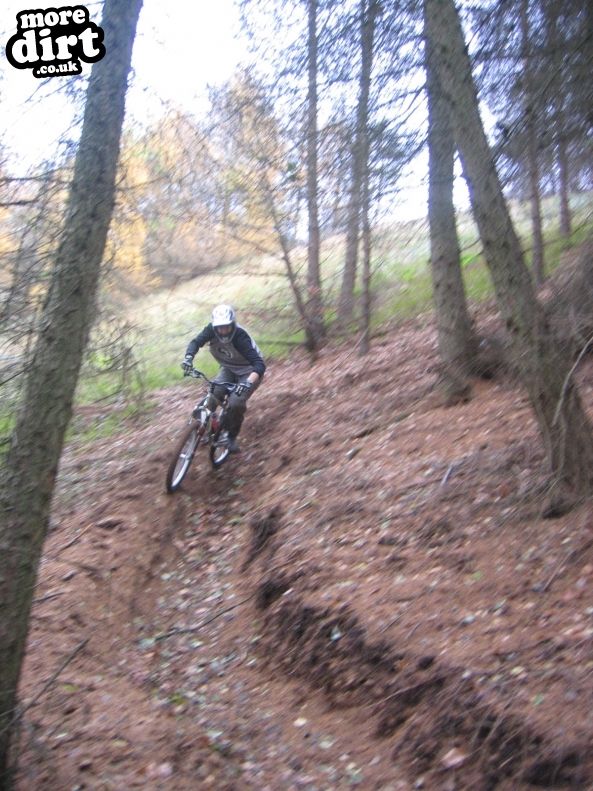 Leckhampton Hill Trails