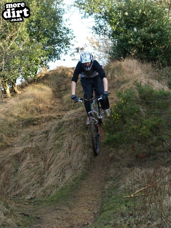 Leckhampton Hill Trails