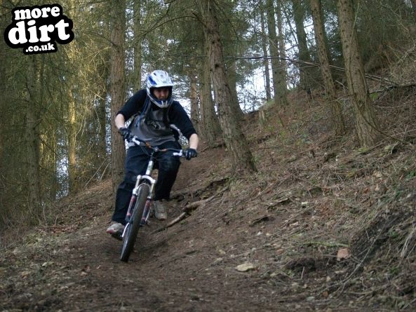 Leckhampton Hill Trails