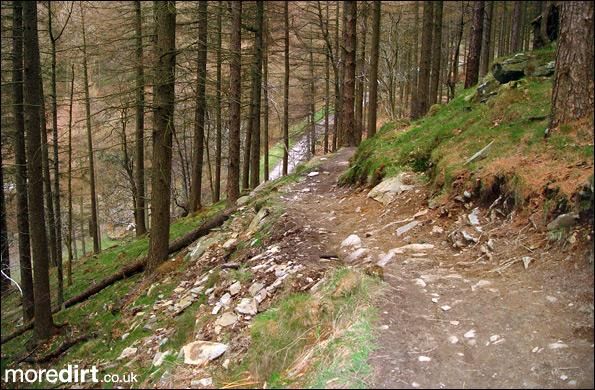 Twrch Trail - Cwmcarn