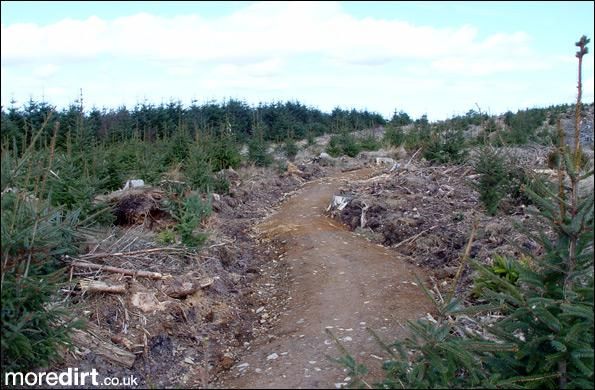 Twrch Trail - Cwmcarn