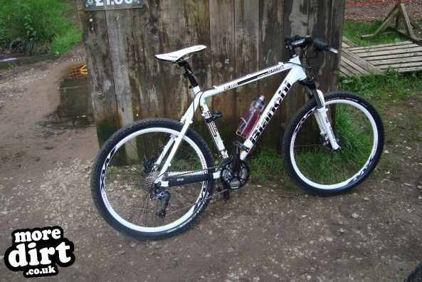 Follow the Dog Trail - Cannock Chase