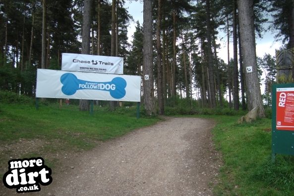Follow the Dog Trail - Cannock Chase