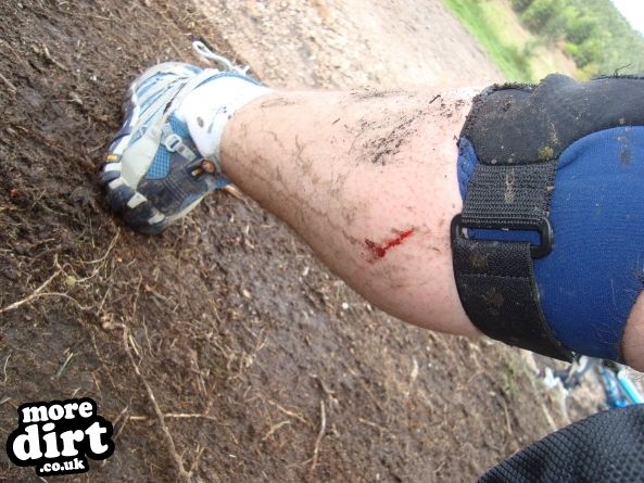 Follow the Dog Trail - Cannock Chase