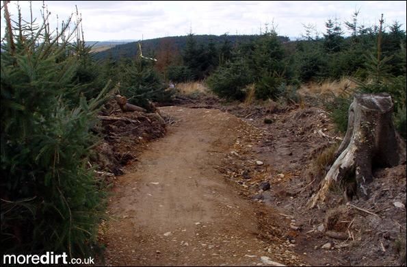 Twrch Trail - Cwmcarn