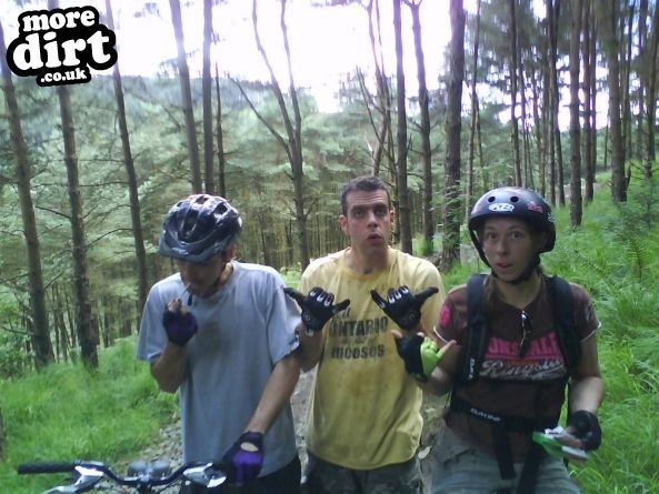 The Wall Trail - Afan Forest