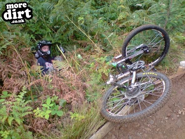 The Wall Trail - Afan Forest